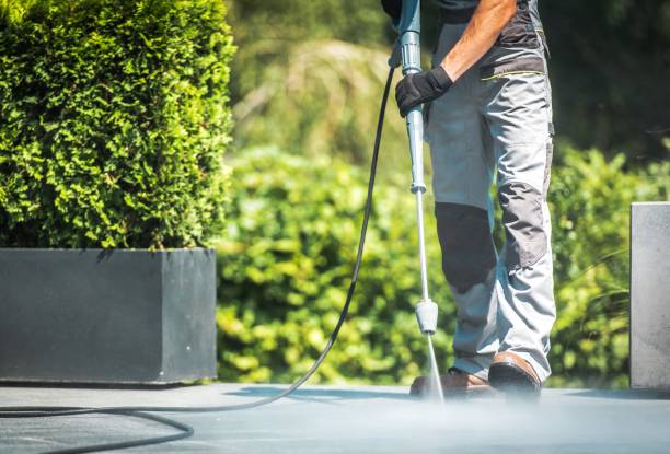 Best Solar Panel Cleaning  in Pulaski, NY