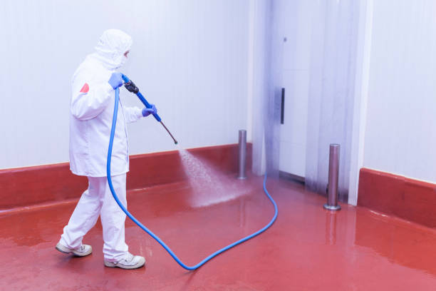 Best Post-Construction Pressure Washing  in Pulaski, NY