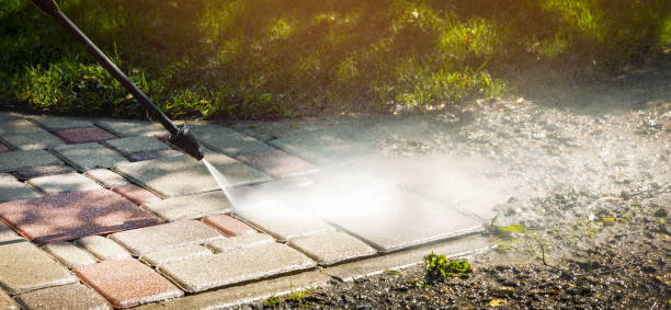 Best Animal Enclosure Cleaning  in Pulaski, NY